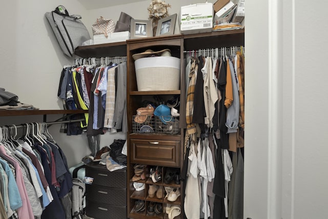 view of spacious closet