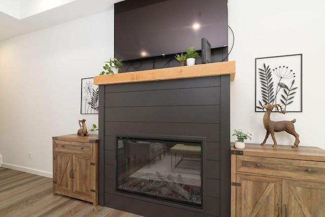 details featuring baseboards and wood finished floors