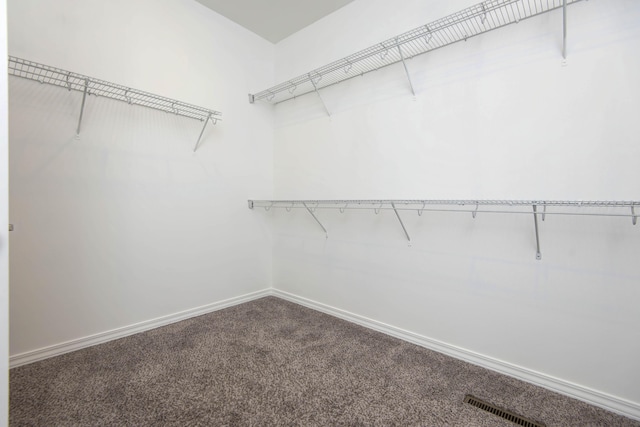 walk in closet with visible vents and carpet floors