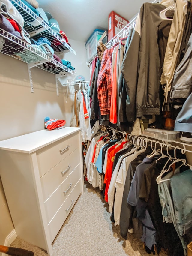 view of spacious closet