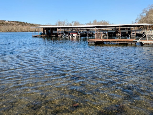 view of dock with a water view and boat lift