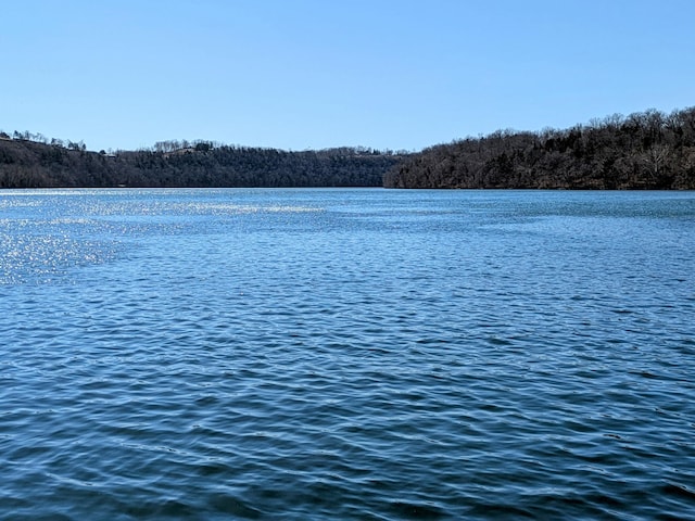 water view featuring a wooded view