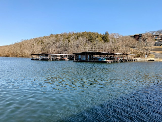 property view of water with a dock