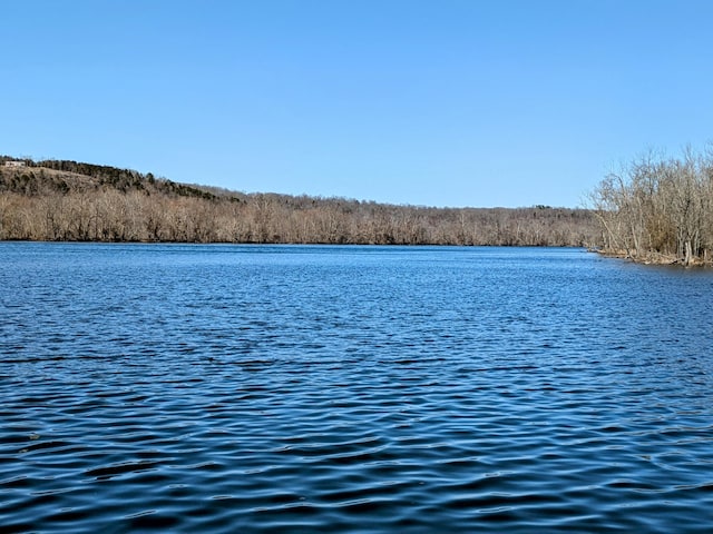 property view of water featuring a wooded view