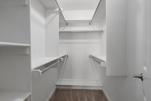 spacious closet featuring carpet