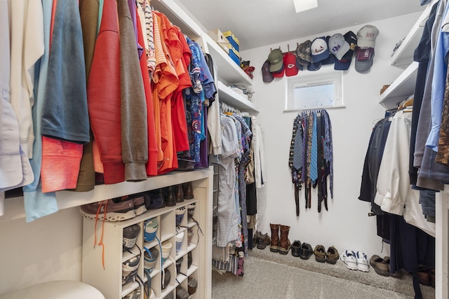 spacious closet featuring carpet flooring