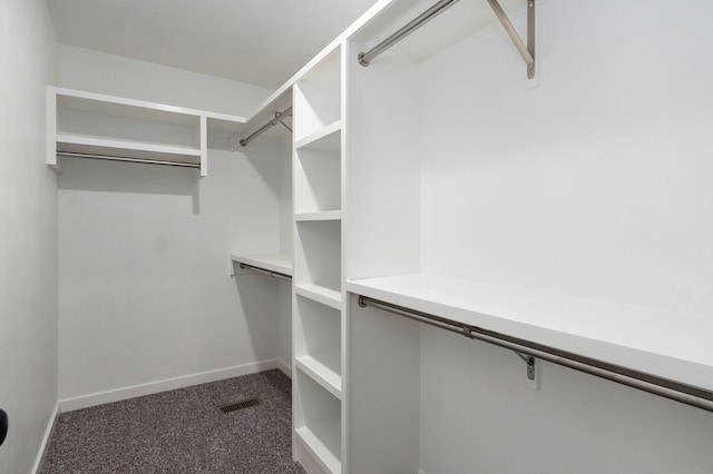 spacious closet featuring carpet and visible vents