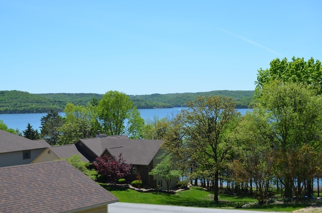 water view featuring a view of trees