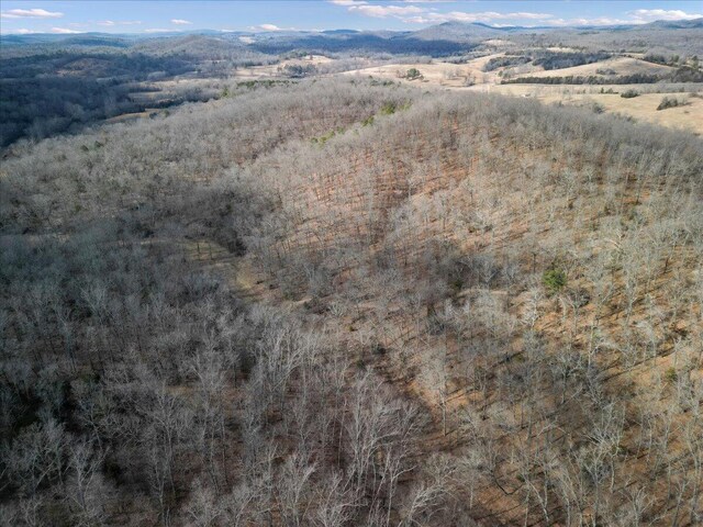84 County Road 104, Gainesville, MO 65655 - drone / aerial view featuring a forest view and a mountain view