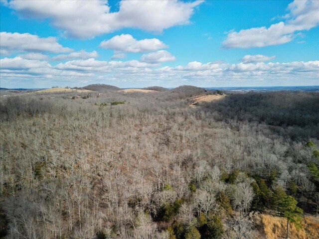 84 County Road 104, Gainesville, MO 65655 - property view of mountains featuring a wooded view
