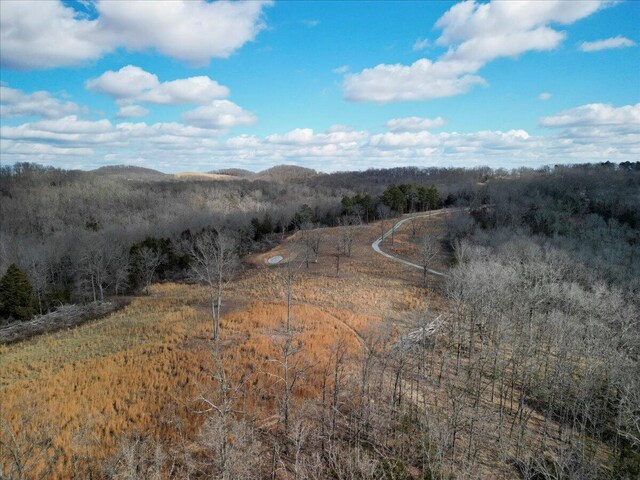 84 County Road 104, Gainesville, MO 65655 - mountain view featuring a wooded view