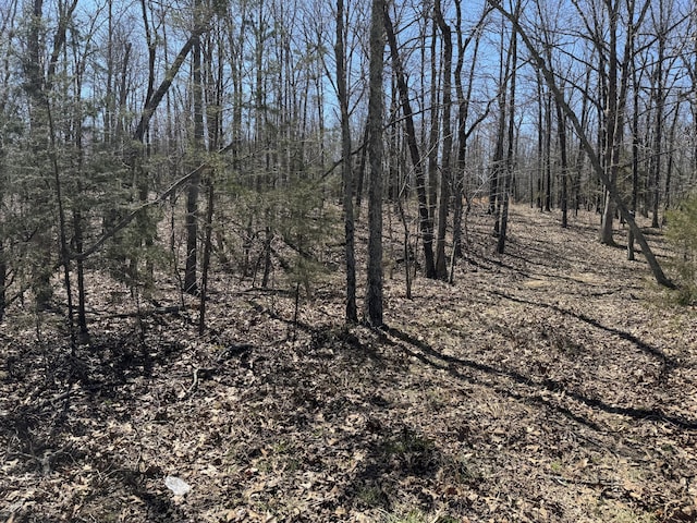 000 County Road 7400, West Plains, MO 65775 - photo 2