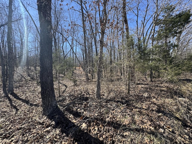 000 County Road 7400, West Plains, MO 65775 - photo 5