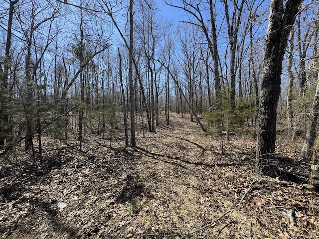 000 County Road 7400, West Plains, MO 65775 - photo 3