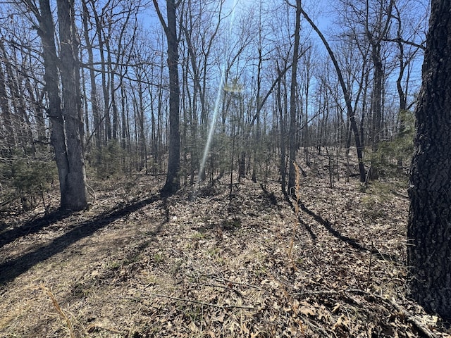 000 County Road 7400, West Plains, MO 65775 - photo 4