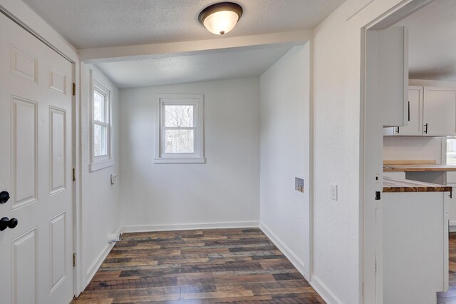 entrance foyer with dark wood-style floors, a textured ceiling, lofted ceiling, and baseboards