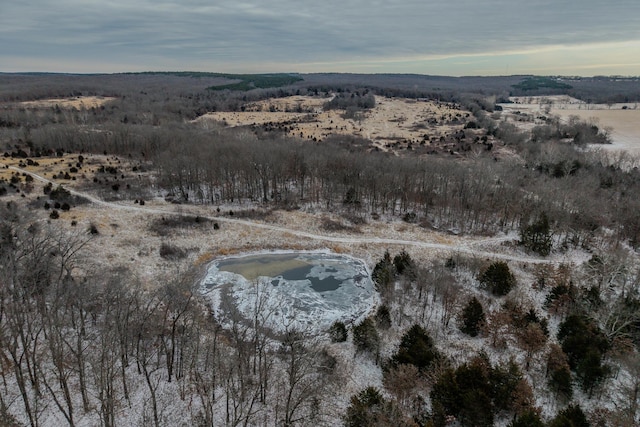 000 Hartzog Dr, Roby, MO 65557 - photo 13