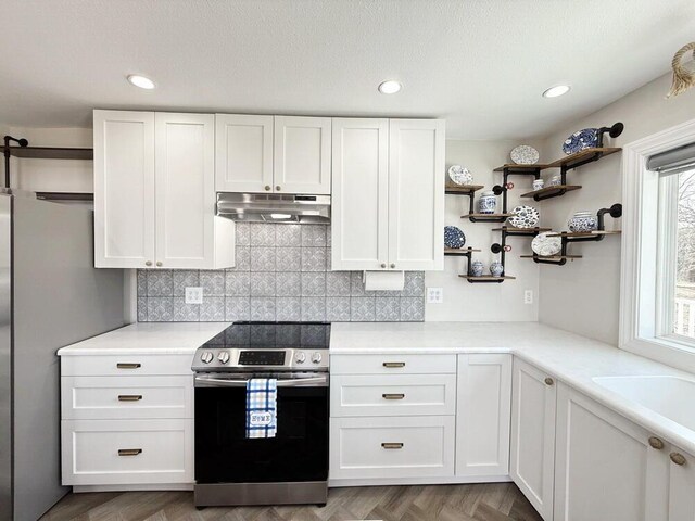 3100 E 354th Rd, El Dorado Springs, MO 64744 - kitchen featuring appliances with stainless steel finishes, under cabinet range hood, white cabinetry, light countertops, and tasteful backsplash