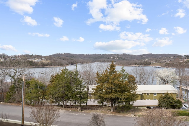 property view of water