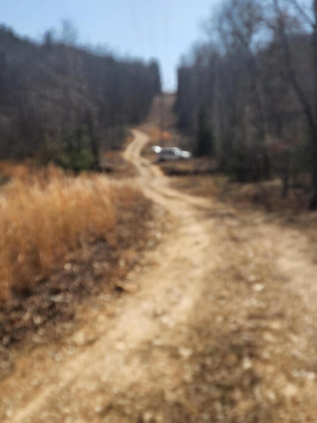 496 Timberline Rd, Willow Springs, MO 65793 - view of road