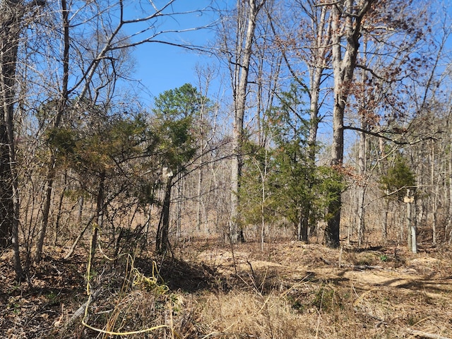 496 Timberline Rd, Willow Springs, MO 65793 - view of landscape with a wooded view