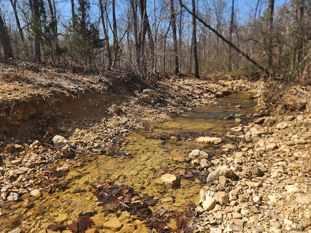 496 Timberline Rd, Willow Springs, MO 65793 - view of landscape featuring a view of trees