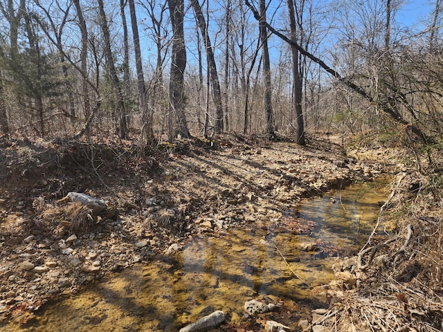 496 Timberline Rd, Willow Springs, MO 65793 - view of local wilderness with a view of trees