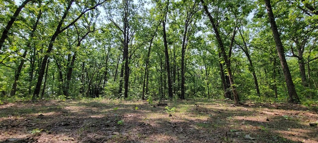 000 Doe Run Rd, Phillipsburg, MO 65722 - photo 11
