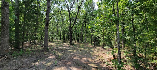 000 Doe Run Rd, Phillipsburg, MO 65722 - photo 16