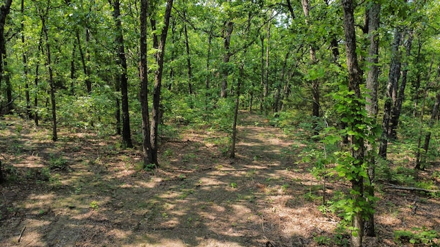 000 Doe Run Rd, Phillipsburg, MO 65722 - photo 7