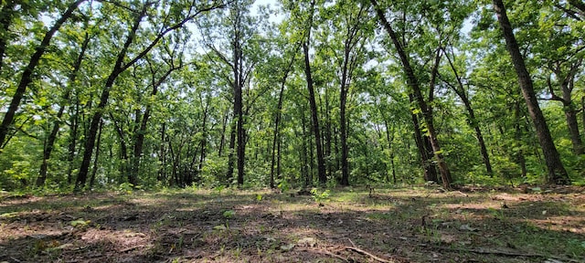 000 Doe Run Rd, Phillipsburg, MO 65722 - photo 8
