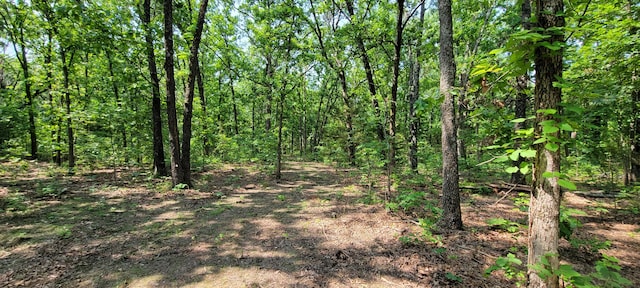 000 Doe Run Rd, Phillipsburg, MO 65722 - photo 17