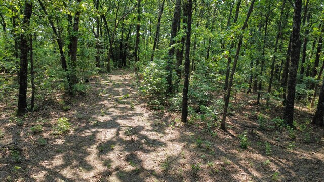 000 Doe Run Rd, Phillipsburg, MO 65722 - photo 12
