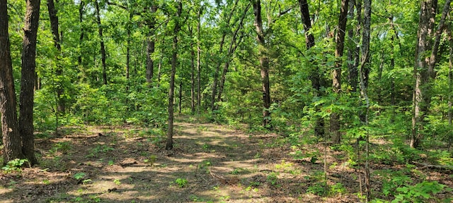 000 Doe Run Rd, Phillipsburg, MO 65722 - photo 18