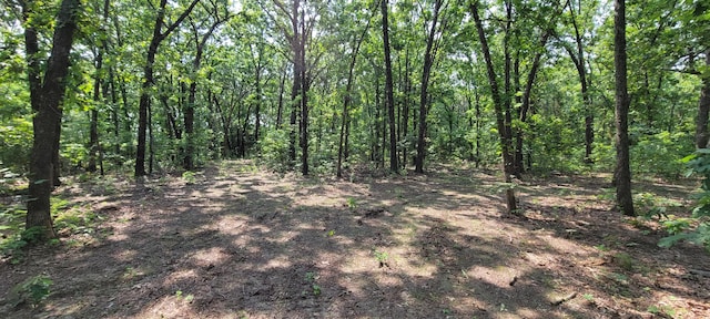 000 Doe Run Rd, Phillipsburg, MO 65722 - photo 15