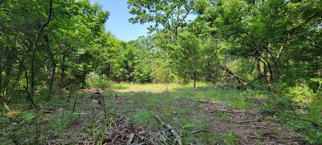 000 Doe Run Rd, Phillipsburg, MO 65722 - photo 14