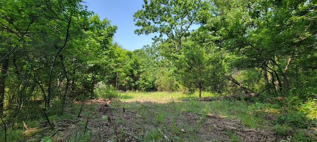 000 Doe Run Rd, Phillipsburg, MO 65722 - photo 13
