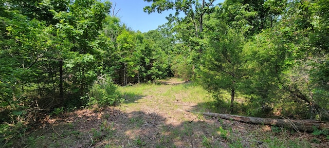 000 Doe Run Rd, Phillipsburg, MO 65722 - photo 5