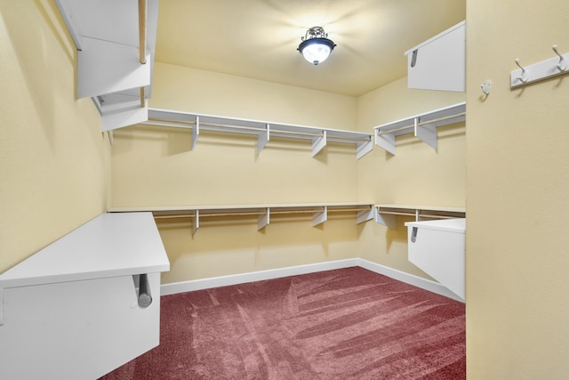 spacious closet featuring dark colored carpet