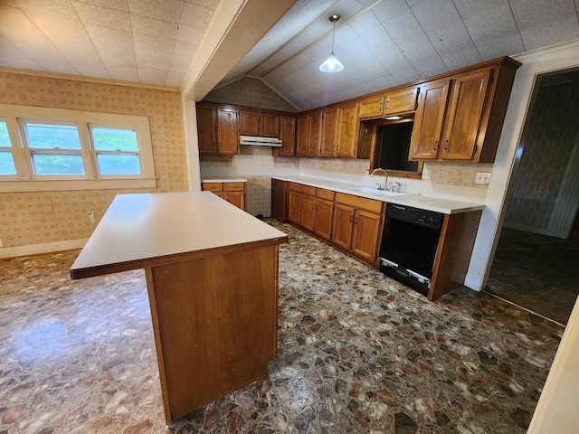 1622 W Fairview Ave, Carthage, MO 64836 - kitchen with dishwasher, dark stone finish flooring, under cabinet range hood, a sink, and vaulted ceiling