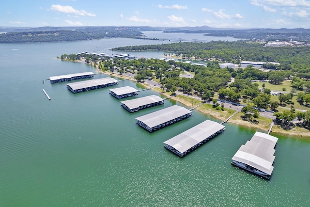 birds eye view of property featuring a water and mountain view