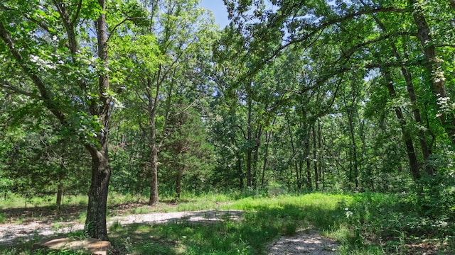 20476 E 1700th Rd, Fair Play, MO 65649
