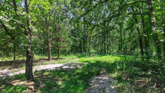 20476 E 1700th Rd, Fair Play, MO 65649