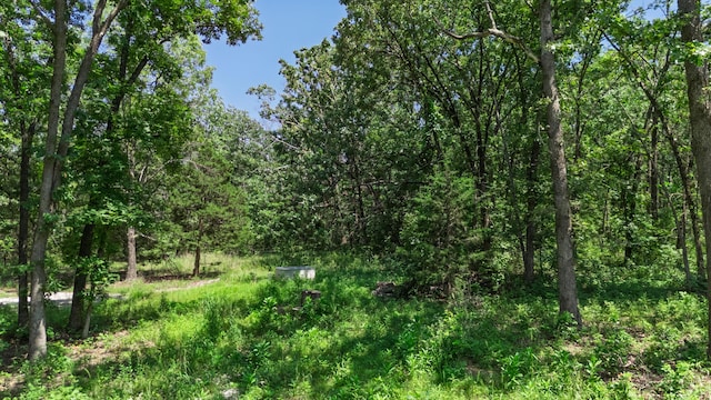 20476 E 1700th Rd, Fair Play, MO 65649