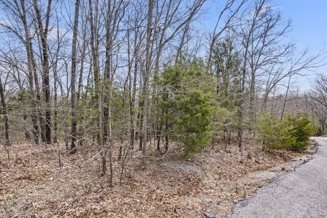 LOT23 Mcguire Dr, Kimberling City, MO 65686