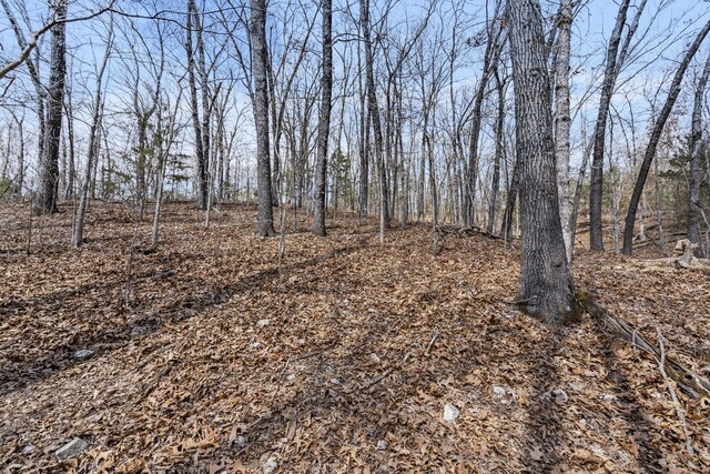 LOT23 Mcguire Dr, Kimberling City, MO 65686