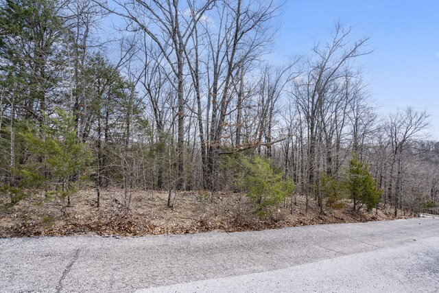 LOT23 Mcguire Dr, Kimberling City, MO 65686