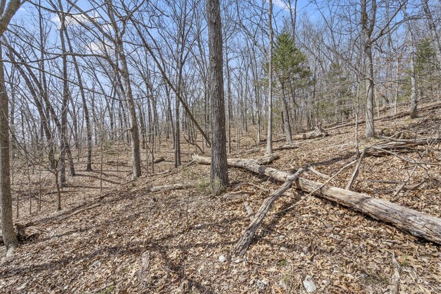 LOT23 Mcguire Dr, Kimberling City, MO 65686