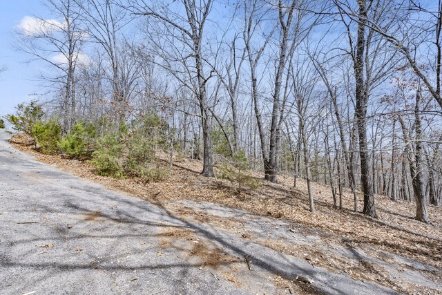 LOT23 Mcguire Dr, Kimberling City, MO 65686