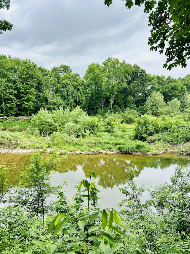 6881 E Rivers Edge Ln, Rogersville, MO 65742 - water view